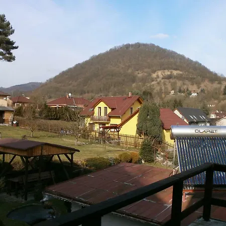 Letni