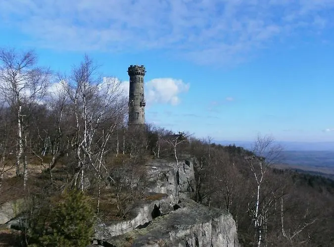 Letni