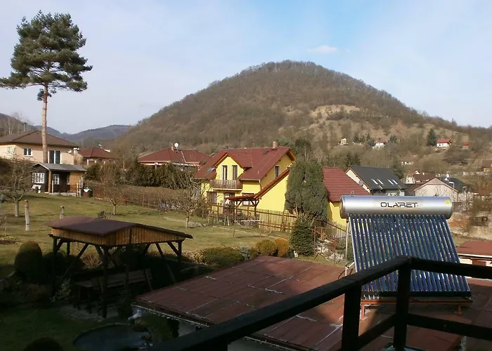 Letni